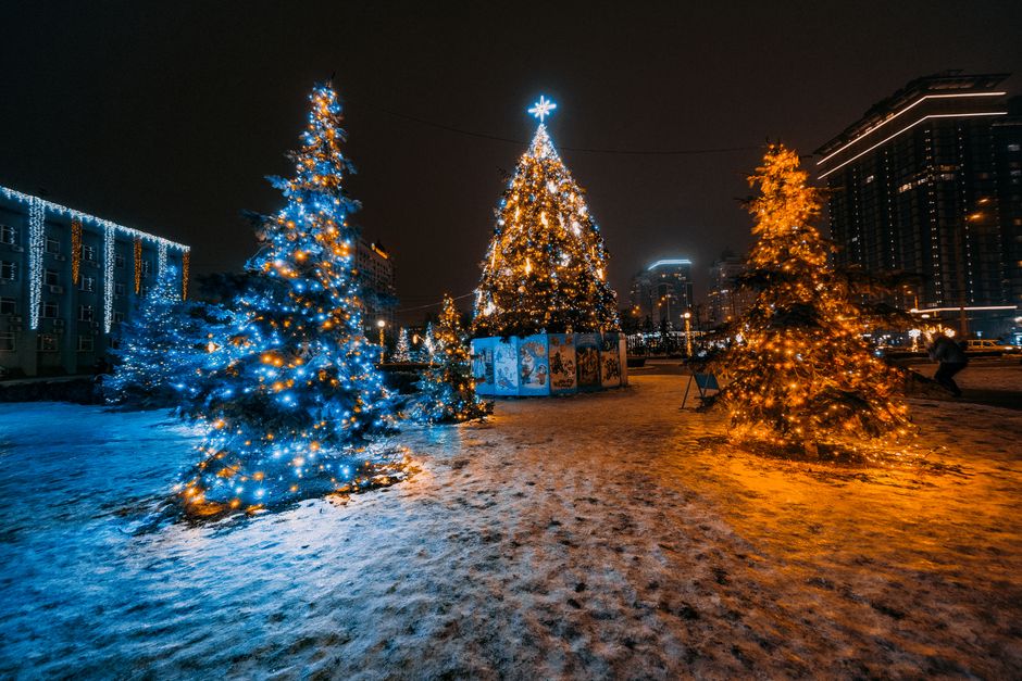 In — Christmas Trees: Eco-Booster or Political Waste? (inline 1)