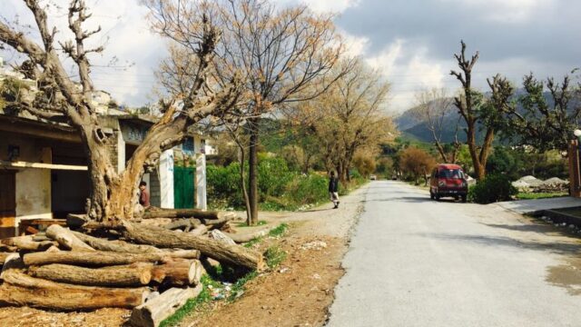 suicide — Pakistan: Suicide Attacks Test Western Resolve in South Asia (featured)