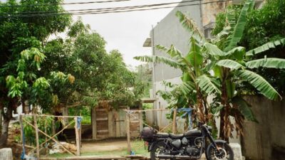Sri Lanka — Sri Lanka's Cricket: A Rain-Soaked Wake-Up Call for AI? (featured)