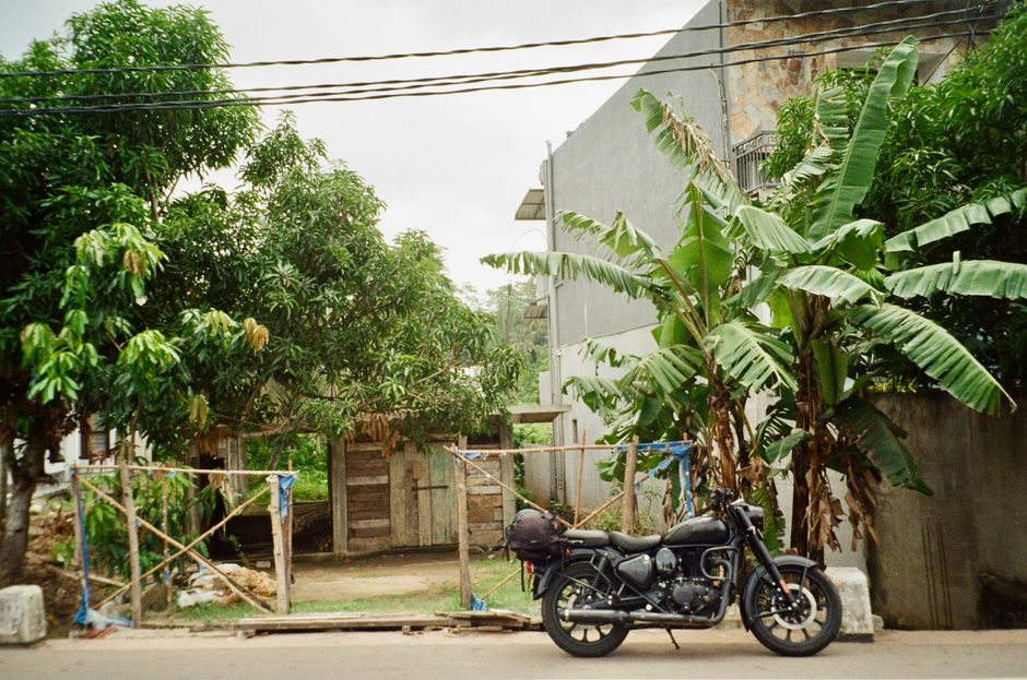 Sri Lanka — Sri Lanka's Cricket: A Rain-Soaked Wake-Up Call for AI? (featured)