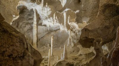 Scientists — Florida’s Hidden Waters: A Subterranean Warning (featured)