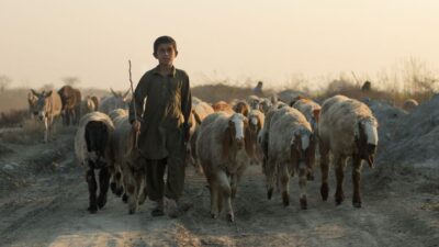 Pakistani — Pakistan's Afghan Airstrikes: A Warning Shot or War? (featured)