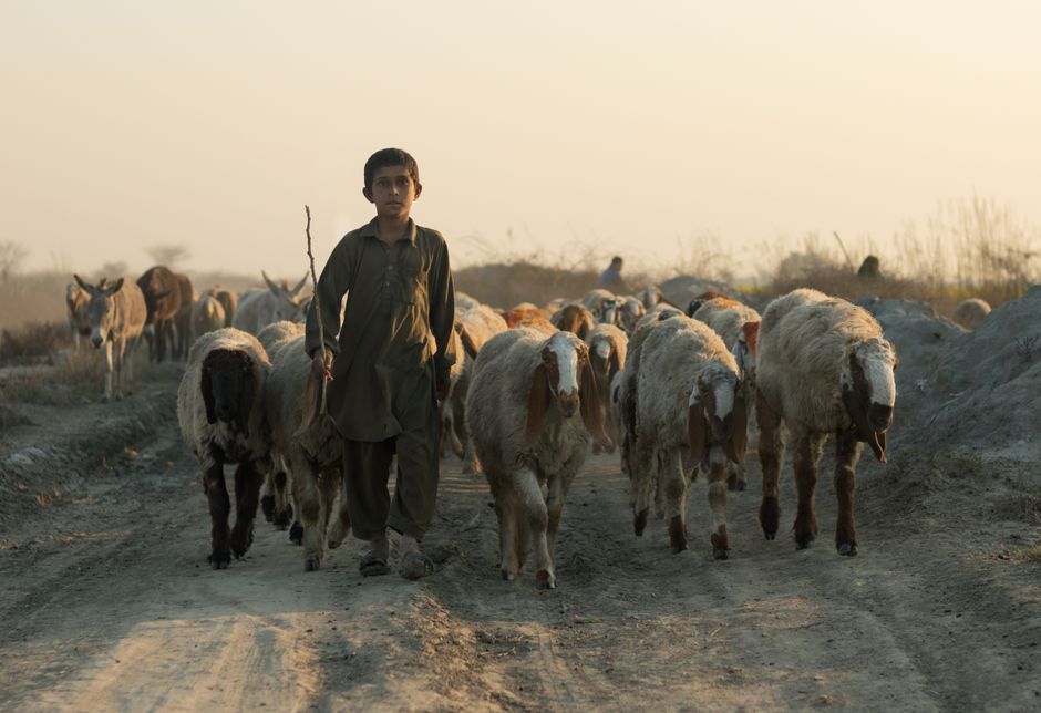 Pakistani — Pakistan's Afghan Airstrikes: A Warning Shot or War? (featured)