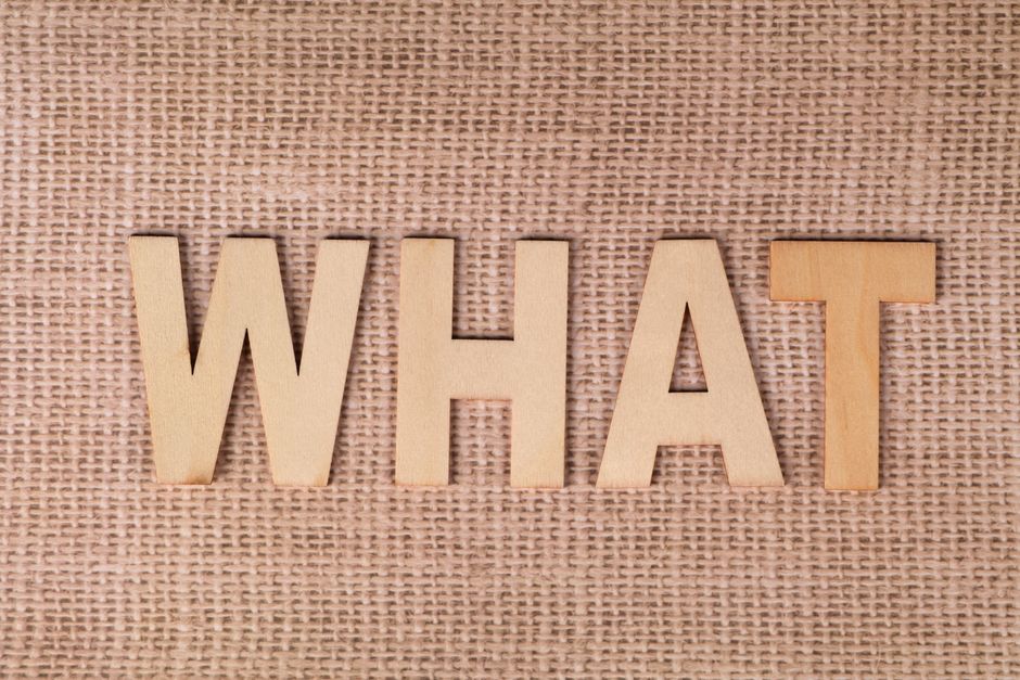 What We — Zootopia 3: Disney's Feathered Tease Raises Questions (photo)