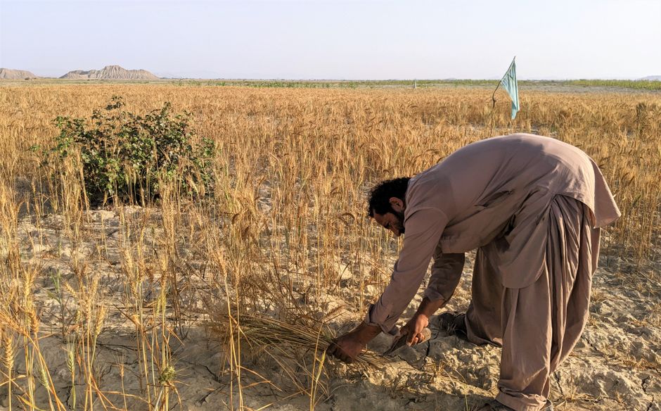One — Balochistan's Endless War: Can Pakistan Buy Peace With Blood? (inline 1)