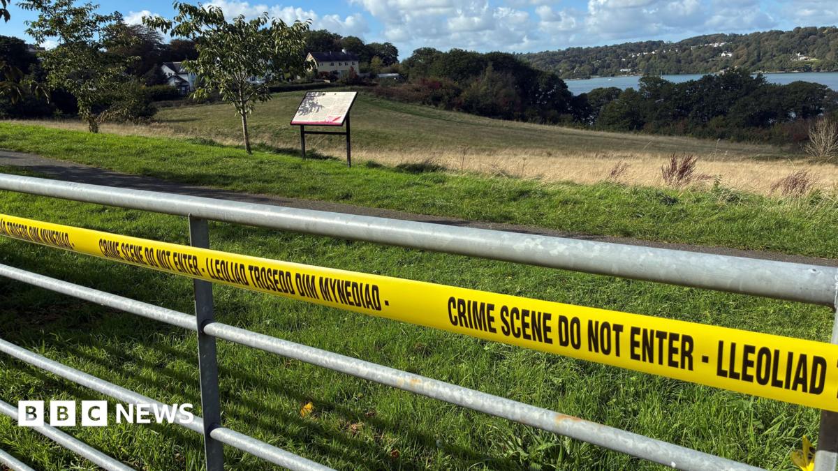 Body — Wales’ Dark Secret: A Baby’s Body And Systemic Failure (featured)