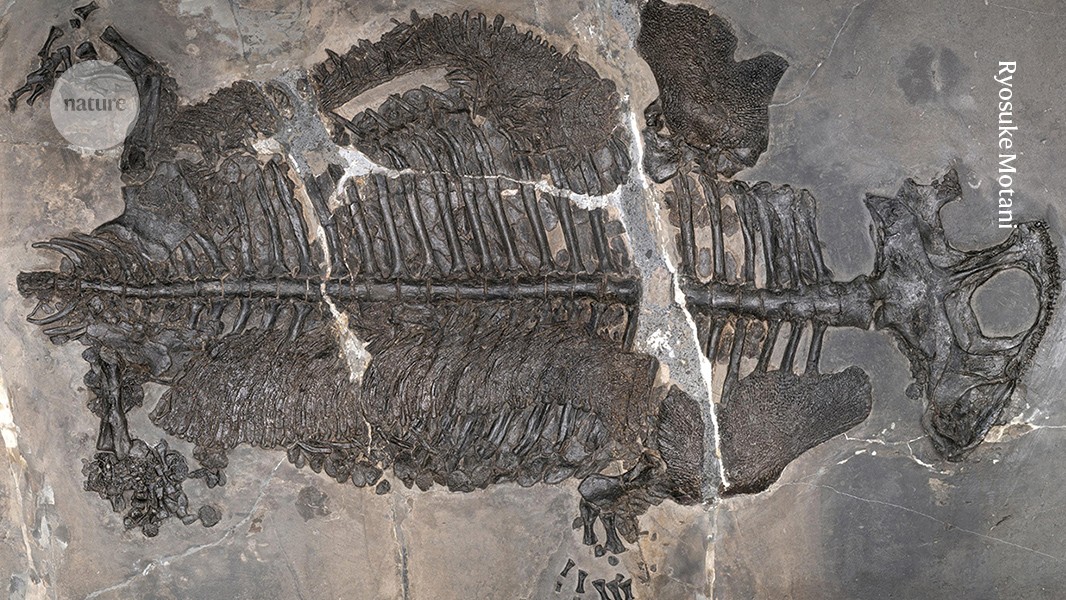 Evolutionary — Ancient armored amphibian forces evolutionary rethink: What AI reveals (featured)