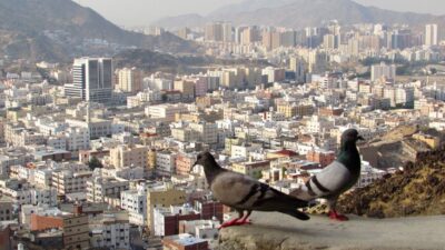 Saudi — Saudi Peacemaking: Damage Control or New Middle East Order? (featured)