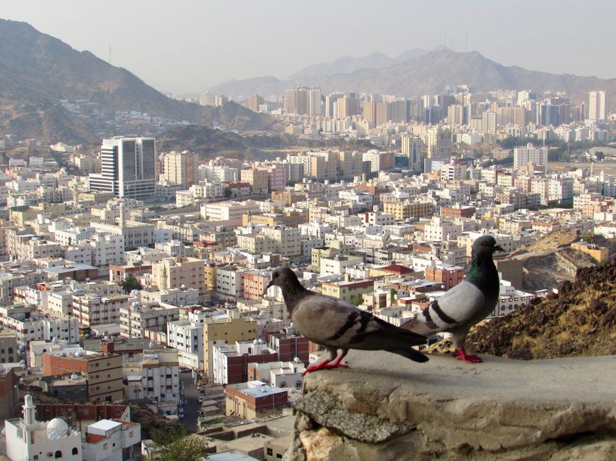 Saudi — Saudi Peacemaking: Damage Control or New Middle East Order? (featured)