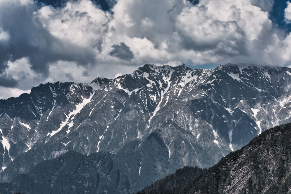 Himalayan — Himalaya’s Monal: Is South Asia Silencing Its Own Nature? (inline 1)