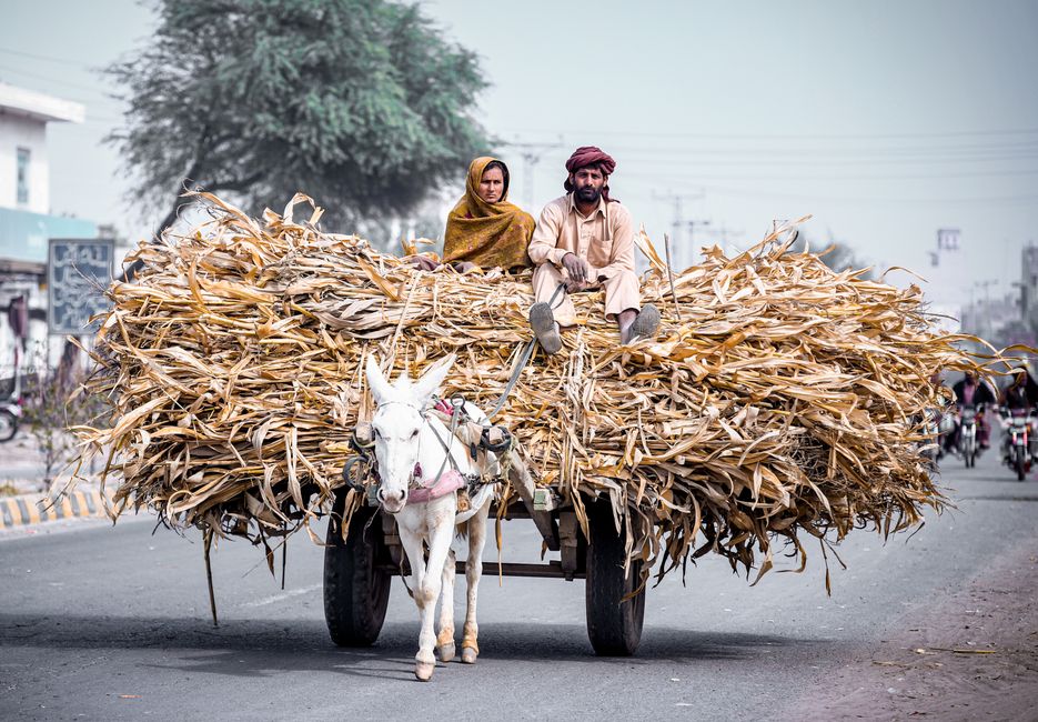 Why Pakistan — Pakistan's Democracy: Khyber-Pakhtunkhwa's emergency rule (photo)