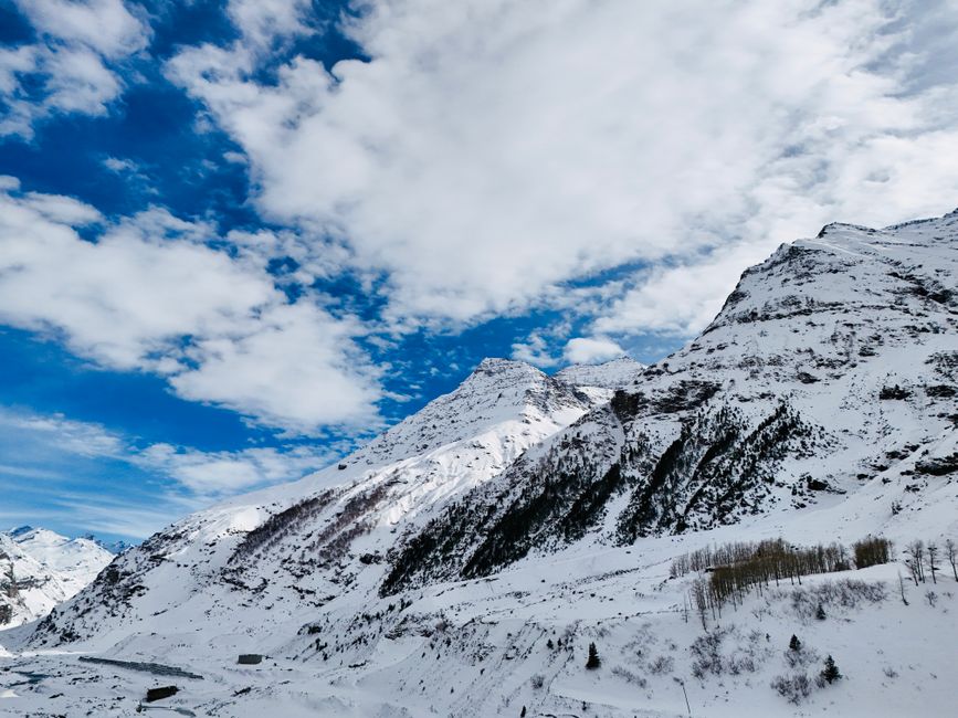 Himalayan — Himalaya’s Monal: Is South Asia Silencing Its Own Nature? (inline 2)