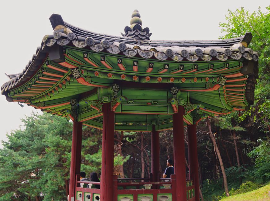 Forced — South Korea’s care scandal: Could AI have stopped the abuse? (inline 3)