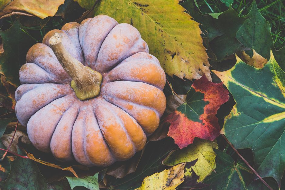 grapple with — October 7: How Grief Becomes a Weapon of Division (photo)