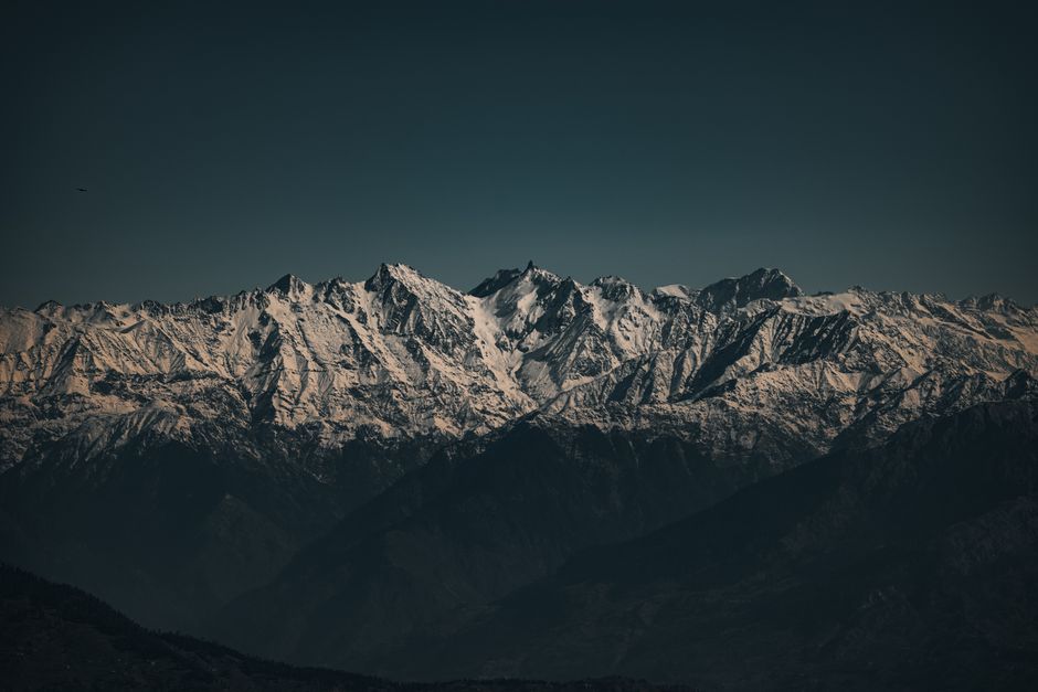 Himalayan — Himalaya’s Monal: Is South Asia Silencing Its Own Nature? (inline 3)
