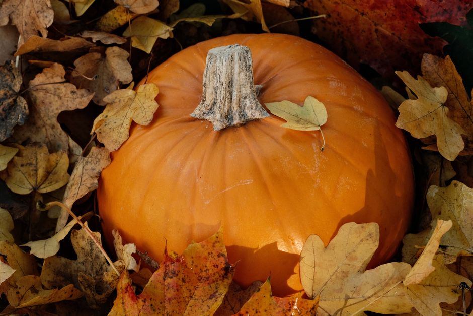 grapple with — October 7: How Grief Becomes a Weapon of Division (photo)