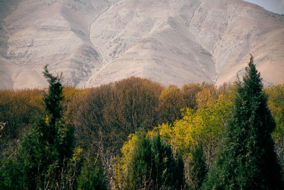 iran — Iran: Is a Gulf War Spark Closer Than We Think? (inline 3)